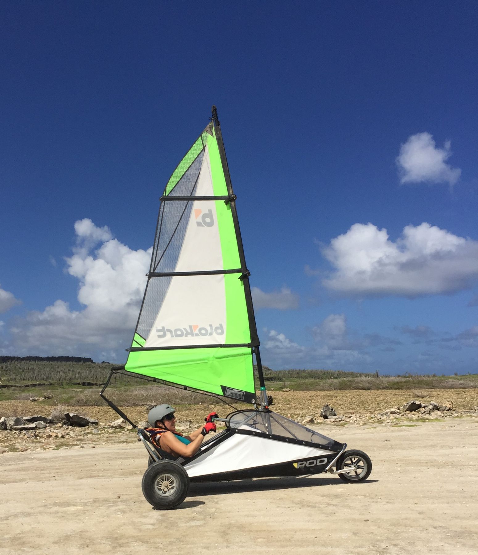 A green sail against cactus and blue sky